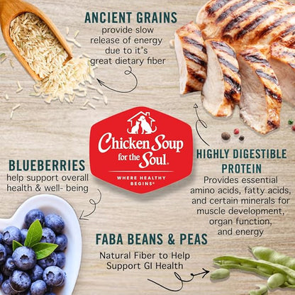Chicken Soup for the Soul All Natural Premium Adult Dry Dog Food, Real Meat First Ingredient, No by-Products, Supports Gut & Immune Health, Chicken, Turkey & Brown Rice, 4.5lb (Pack of 2)