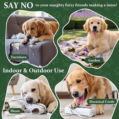 No Chew Spray for Dogs, Bitter Apple Deterrent to Stop Chewing, Licking and Biting on Furniture, Shoes and Plants, Alcohol Free Puppy Training Aid for Indoor and Outdoor Use, 2 Pack 100 ml