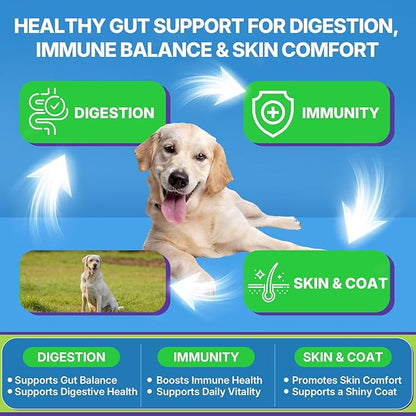 200 PCS Probiotics for Dogs - Dog Probiotic Chews for Gut Health, Digestive Support & Itchy Skin Relief Pet Diarrhea Gas Treatment - Probiotics, Digestive Enzymes, Prebiotics, Pumpkin