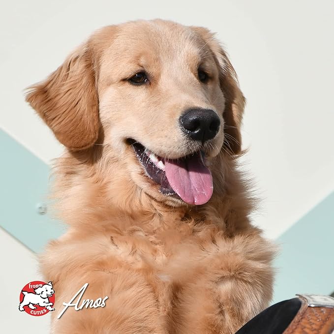 Fromm Four-Star Nutritionals Surf & Turf Dog Food - Premium Dry Dog Food - Salmon Recipe - 12 lb