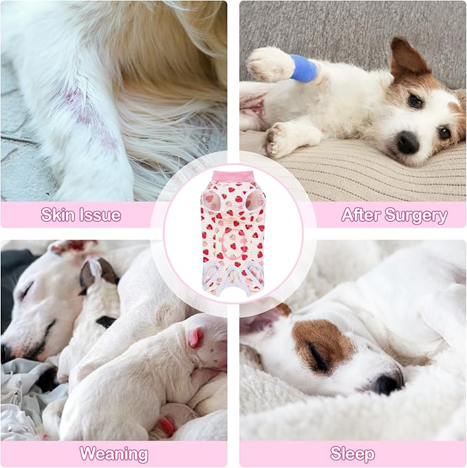 Coppthinktu Recovery Suit for Dogs After Surgery, Dog Onesie Surgery Recovery Suit for Female Spay, Soft Surgical Pajamas Bodysuits for Puppy to Prevent Licking Dog Cone Alternative Strawber M