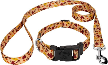 Country Brook Petz - Fall Foliage Everyday Dog Collar and Leash - Awesome Autumn Collection Featuring Designs You Will Fall for (1/2 Inch, 2XS)