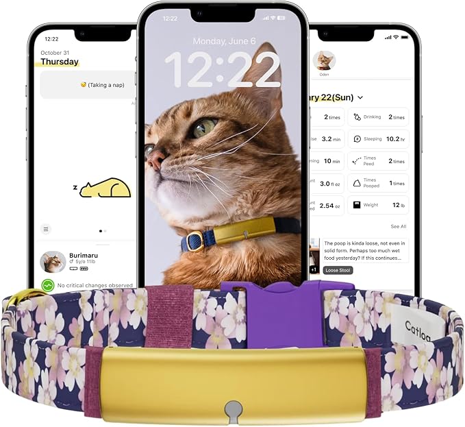 Health Tracker for Cats - Smart Cat Collar with Safety Breakaway Buckle for Indoor Cats, Wellness Alerts, Real-time Monitoring (Kimono (Sakura -Night-),XXL)