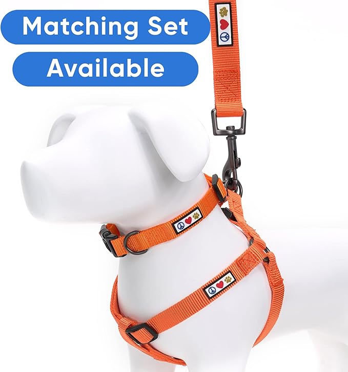 Pawtitas Personalized 6 ft Orange Dog Leash XXS/Cat Custom Name and Phone Embroidery Strong Nylon Leash for Small Breeds