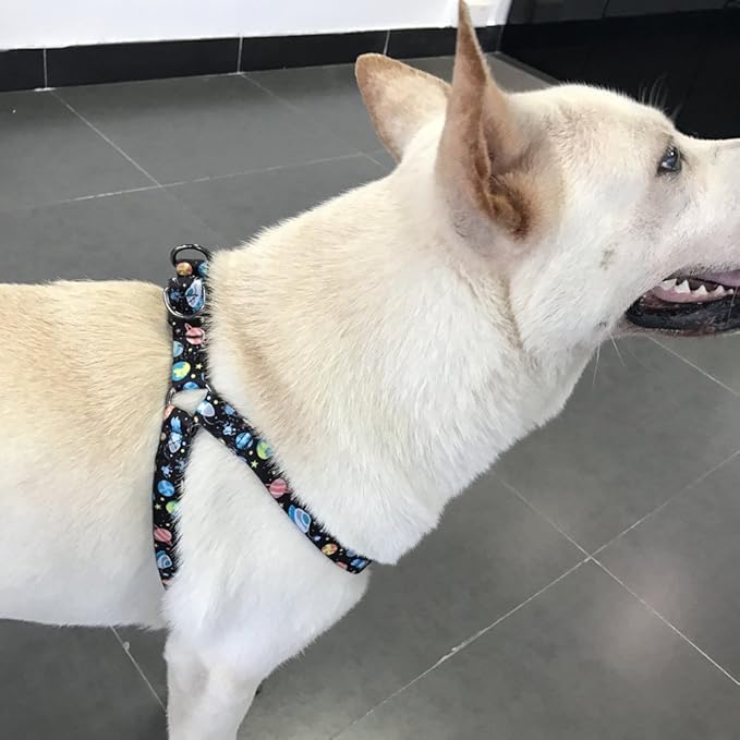 QQPETS Dog Harness Leash Set Adjustable Heavy Duty No Pull Halter Harnesses for Small Medium Large Breed Dogs Back Clip Anti-Twist Perfect for Walking (L(23"-32" Chest Girth), Space)