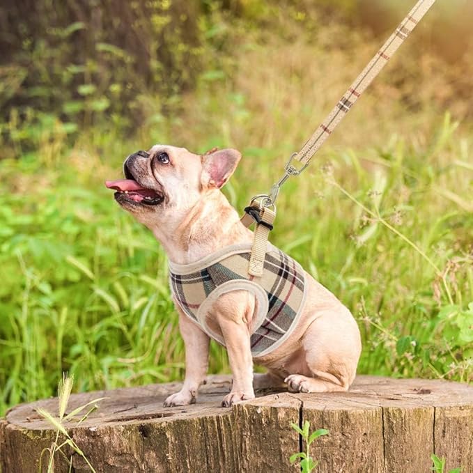 PUPTECK Soft Mesh Dog Harness and Leash Set Step-in Plaid Puppy Padded No Pull Vest Harness for XS Small Sized Dogs Cats Outdoor Walking, Beige S
