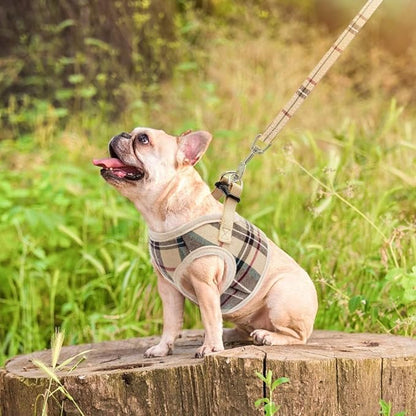 PUPTECK Soft Mesh Dog Harness and Leash Set Step-in Plaid Puppy Padded No Pull Vest Harness for XS Small Sized Dogs Cats Outdoor Walking, Beige S
