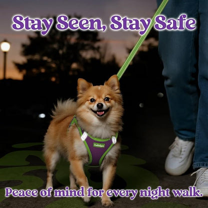rabbitgoo Dog Harness Small Sized and Leash Set, Step-in Breathable Pet Harness, Soft Walking Reflective Puppy Vest for Small Dogs, Purple & Green, XS