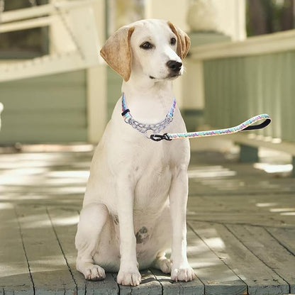 Martingale Dog Collar and Leash Set, Stainless Steel Chain, No Pull Training Collar with Flower Design, for Small, Medium, Large Dogs (NO31, L)