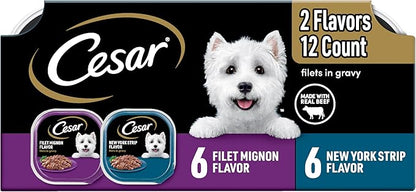Cesar Filets in Gravy Adult Wet Dog Food Variety Pack, Filet Mignon and New York Strip Flavors, 3.5 oz. Easy Peel Trays, Variety Pack, 12 Count