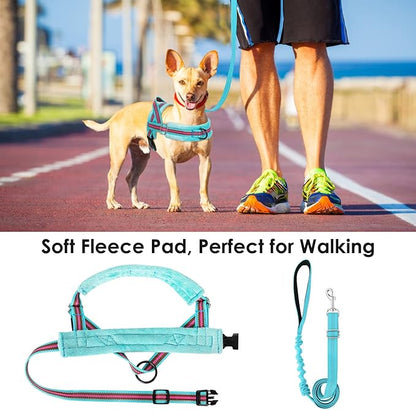 Lukovee No Pull Dog Harness and Leash Set, Soft Padded Small Dog Harness, Neck & Chest Adjustable Reflective Vest Puppy Harness with 4ft Lightweight Anti-Twist Dog Leash for Small Dogs (XS, 01-LBL)