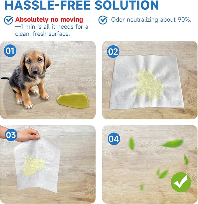 L&W BROS. Easy Clean Pet Quick Absorbent Sheets – Innovative Solution for Mess-Free Cleanup Not Traditional Pee Pads, 12"x10" for Urine and Pet Stain & Odor Remover (50 PCS)