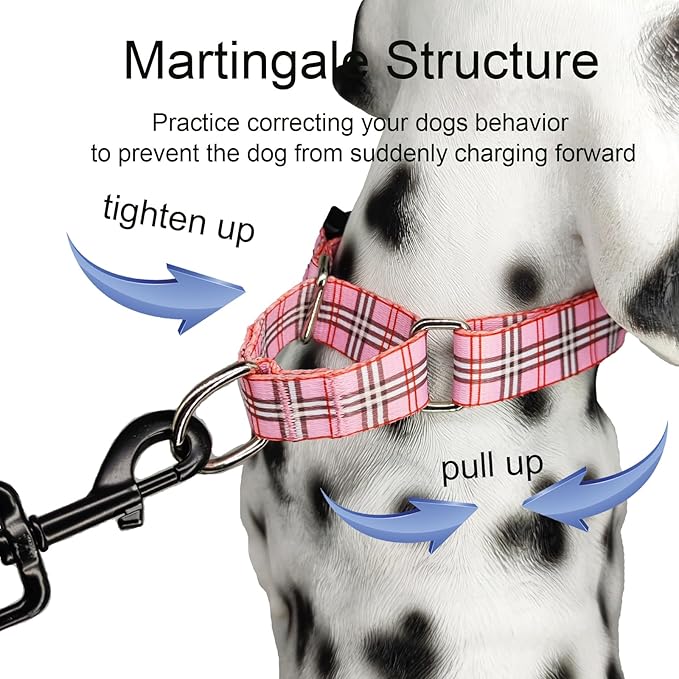 Martingale Collar with Quick Release Buckle Cute Girl Female Training Dog Collars (Pink Plaid, Large)
