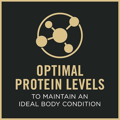 Purina Pro Plan Wet Dog Food for Senior Dogs Adult 7 Plus Chicken and Rice Entree Classic - 13 oz. Cans,(Pack of 24)