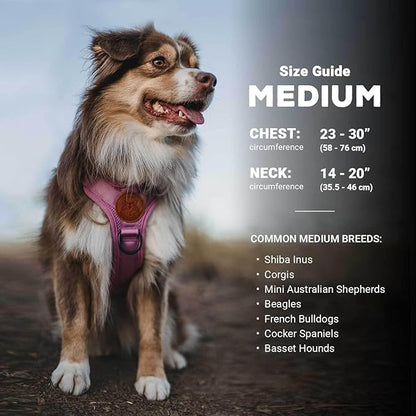 Wilderdog Lightweight Dog Harness with Reflective Straps - Medium - Olive