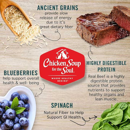 Chicken Soup for the Soul All Natural Premium Adult Dry Dog Food, Real Meat First Ingredient, No By-Products, Supports Gut & Immune Health, Beef & Brown Rice, 28lb