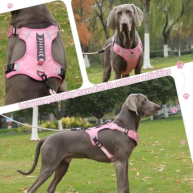 Dog Harness No Pull Adjustable Reflective,for Medium and Large Small Dog with Leash 59.06in (Pink, XL)