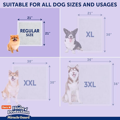 Hartz Miracle Guard Dog and Puppy Dog Pads Max Absorbency 24 Hour Use Odor Eliminating Lavender Scented No Leaks, Regular Size 25 Count