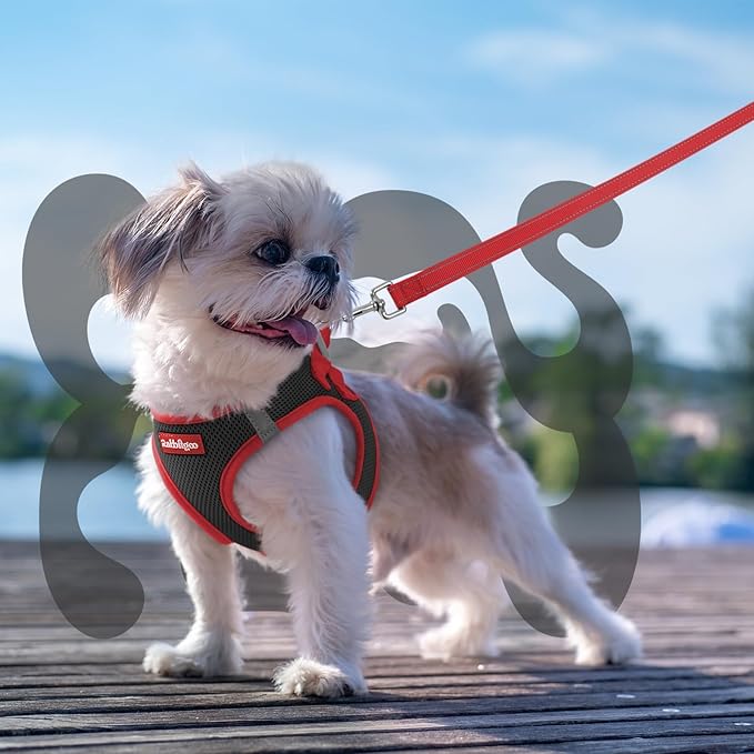 rabbitgoo Dog Harness Small Sized and Leash Set, Step-in Breathable Pet Harness, Soft Walking Reflective Puppy Vest for Small Dogs, Black & Red, XS