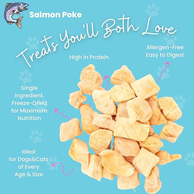 hotspot pets Freeze Dried Salmon Treats for Cats & Dogs - Made in USA - 1LB Resealable Big Bag - Single Ingredient, High Protein, All Natural Grain-Free - Perfect for Training, Topper or Snack