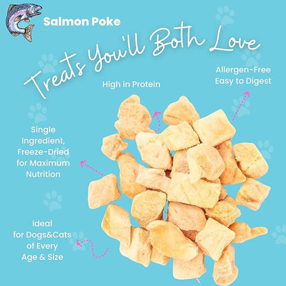 hotspot pets Freeze Dried Salmon Treats for Cats & Dogs - Made in USA - 1LB Resealable Big Bag - Single Ingredient, High Protein, All Natural Grain-Free - Perfect for Training, Topper or Snack