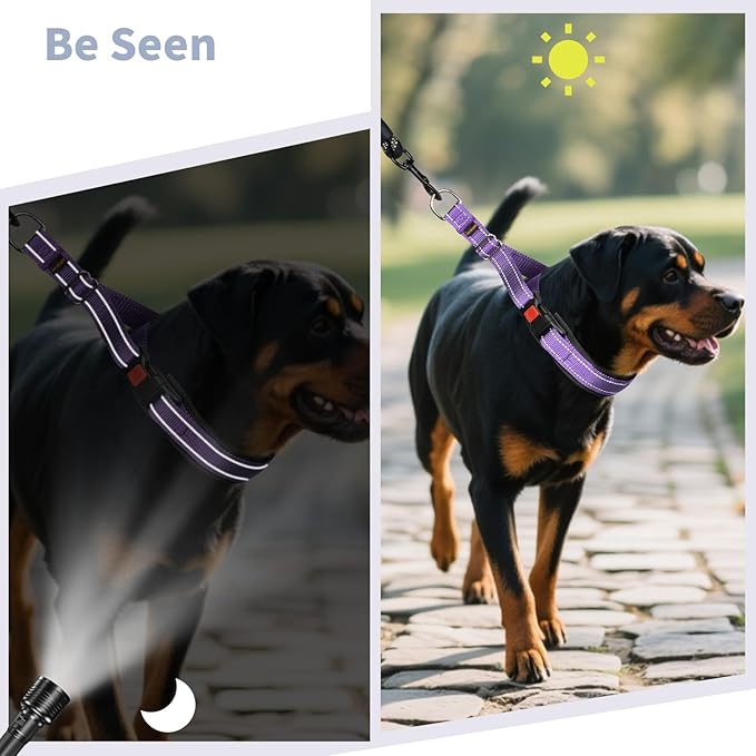 Mayerzon Martingale No Pull Collar for Medium Large Dogs, Patented Anti Pull Dog Collar with Buckle for Walking Training, with Reflective Stitching and Neoprene Padding, Adjustable(Purple, M)
