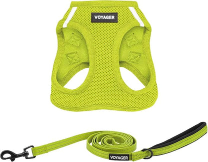 Best Pet Supplies Voyager Step-in Air All Weather Mesh Harness and Reflective Dog 5ft Leash Combo with Neoprene Handle, for Small, Medium and Large Breed Puppies - Set (Lime Green), Small