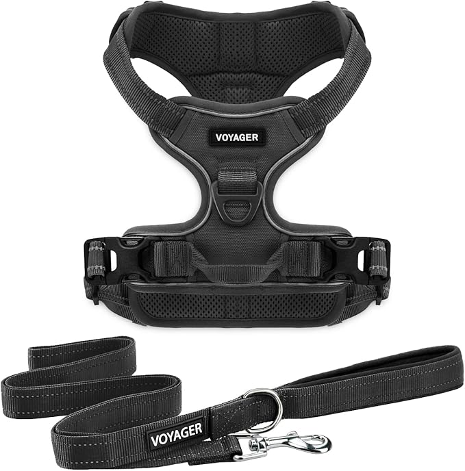 Voyager Dog Harness Dual Leash Attachment No-Pull Control Adjustable Soft but Strong Pet Harness for Medium and Large Dogs with 3M Reflective Technology, Leash Set Black Nylon, XS (Chest: 13-16")