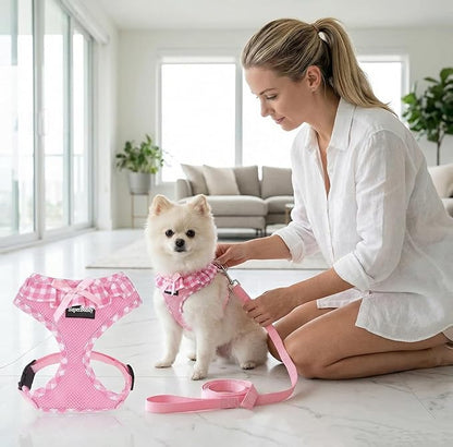 SuperBuddy Upgraded Soft Mesh Dog Harness, Super Breathable Lightweight Pet Harnesses for Puppy Dogs Outdoor Walking, Pink Dog Harness and Dog Leash Set Packing -Medium