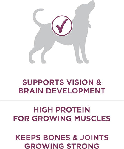Purina ONE Plus Healthy Puppy Formula High Protein Natural Dry Puppy Food with added vitamins, minerals and nutrients - 8 lb. Bag