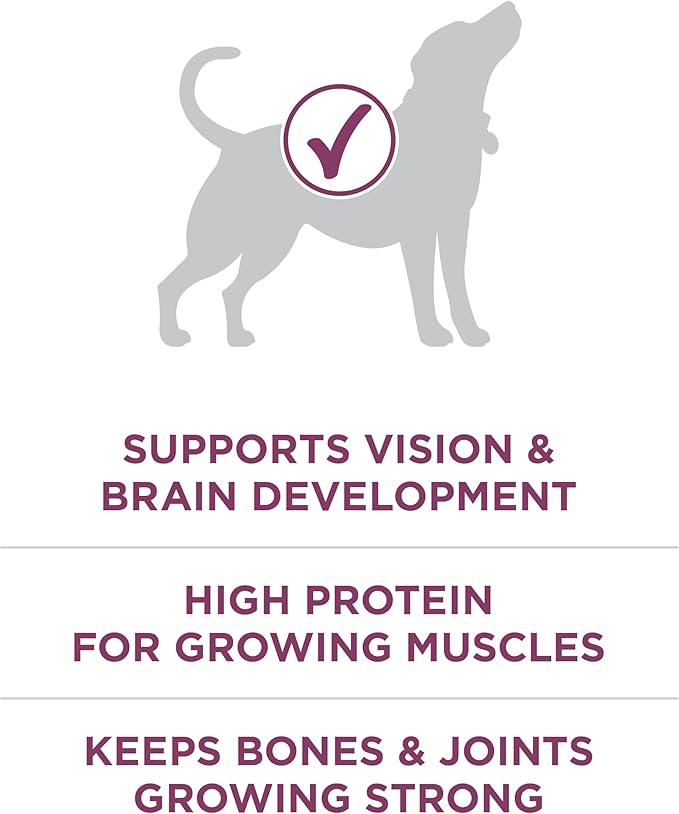 Purina ONE Plus Healthy Puppy Formula High Protein Natural Dry Puppy Food with added vitamins, minerals and nutrients - 31.1 lb. Bag