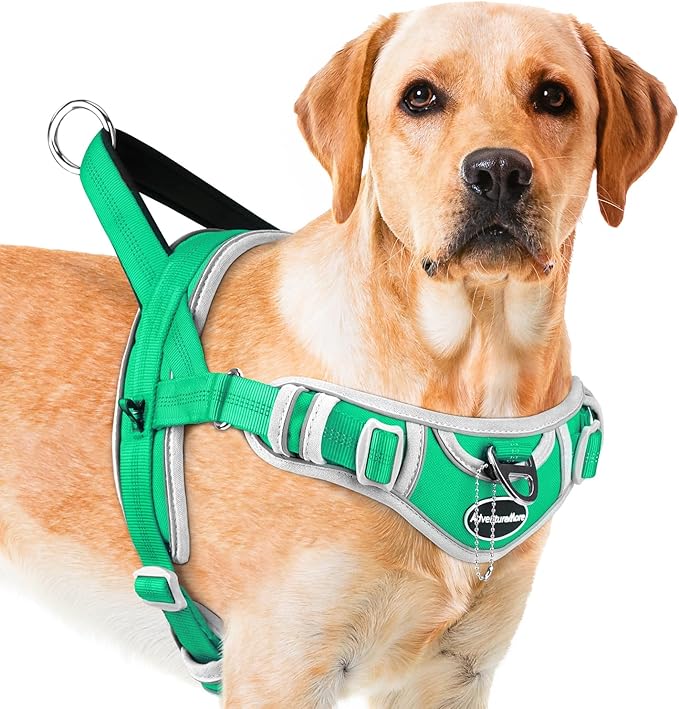 ADVENTUREMORE Dog Harness for Medium Dogs No Pull, Sport Dog Halter Harness Adjustable Reflective Dog Vest Escape Proof Dog Harness with Easy Control Front Clip Handle for Training Walking M Green