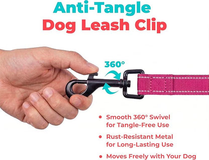 Best Pet Supplies Voyager Reflective Dog Leash or Collar with Neoprene Handle, for Small, Medium, and Large Breed Puppies, Cute and Heavy Duty for Walking, Running and Training - Fuchsia (Leash), S