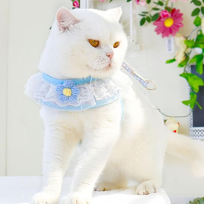 Cat Harness Collar and Leash Set, Sweet Lace Floral Kitten Collar, Escape Proof Puppy Chest Harness, Adjustable Cute Harness Leash Set for Cat Puppy Dog Outdoor Walking (Blue, M)