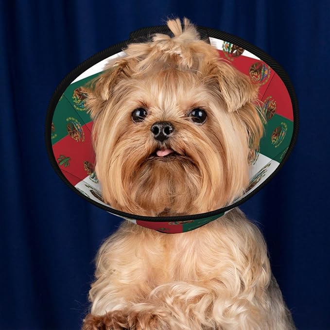 Breathable Dog Cones for Small Medium Large Dogs, Mexican Flag Recovery Collars for Puppies and Kittens After Surgery, Elizabethan Collar to Stop Licking