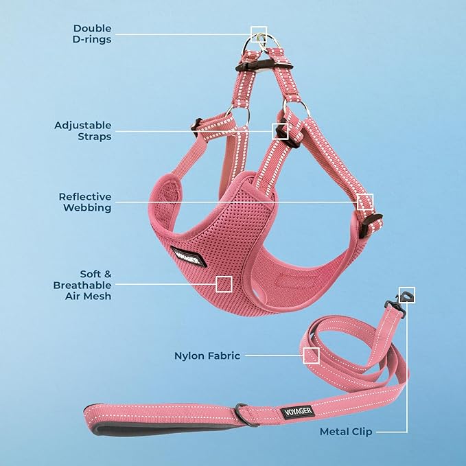 Best Pet Supplies Voyager Adjustable Step-in Flex Breathable Mesh Dog Harness for Small Medium Large Dogs Leash Set (Pink), L