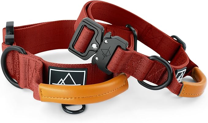 Made to ROAM Premium Explorer Control Collar - Adjustable Heavy Duty Nylon Dog Collar with Quick-Release Metal Buckle and Handle (Texas Flair, Control Size 4)