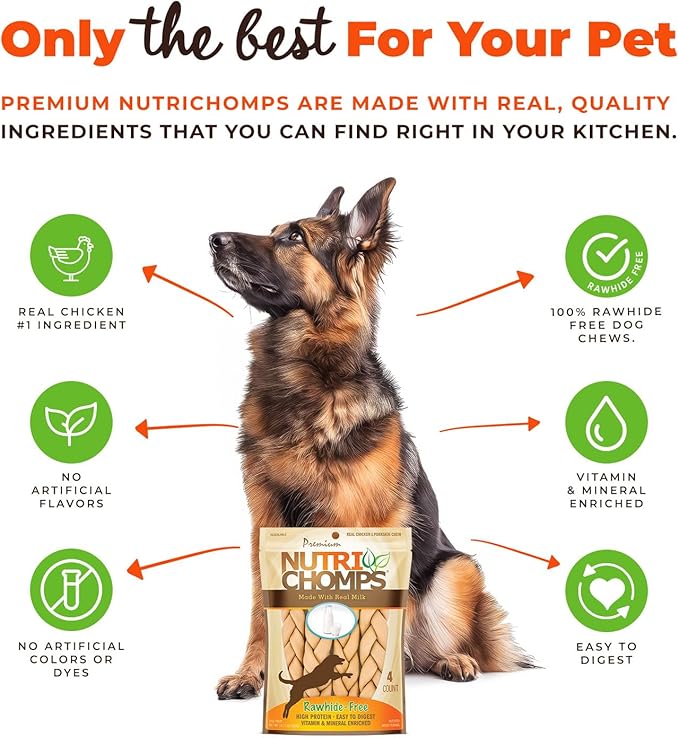 NutriChomps 9-inch Braid, Rawhide-Free Dog Treats, Easy to Digest, Healthy, 4 Count Milk
