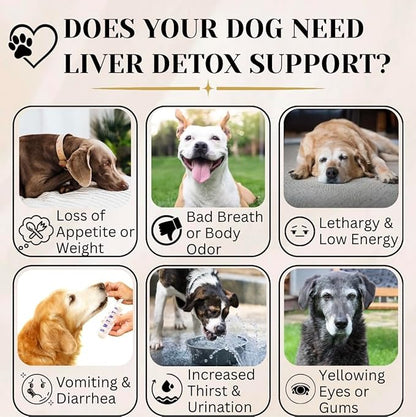 Advanced Liver Support Supplement for Dogs – Milk Thistle, Turmeric, Same & Choline – Liver Detox, Kidney Support, Immunity & Metabolic Boost – Organic Ingredients, Natural Chicken Flavor – 90 Chews