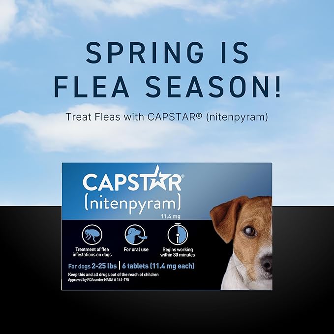 Capstar (Nitenpyram) Fast-Acting Oral Flea Treatment for Dogs 2-25 Lbs, Vet-Recommended Medication Tablets, Flea Tablets for Dogs Start Killing in 30 Minutes, 12 Doses (Includes Two 6-Count Boxes)