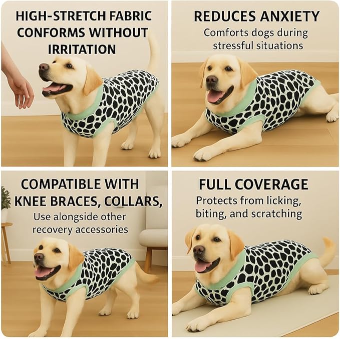 PetWarm Dog Recovery Suit, Recovery Suit for Female Male Dogs, Dog Onesie After Surgey Spay Neuter, Anti-Licking Soft Pet Pajamas, Leopard Pattern, Green, 2XL