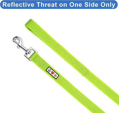 Pawtitas Green Dog Leash 6 ft M/L Reflective Durable Lightweight Dog Lead for Medium or Large Dogs and Puppies