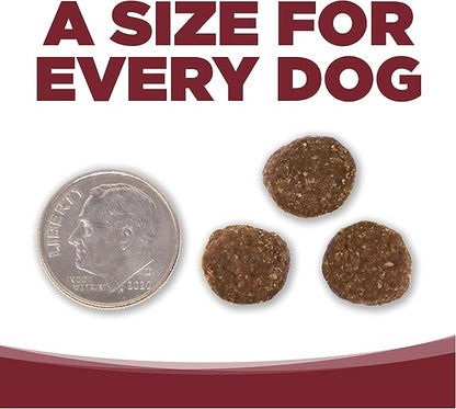 NutriSource Dog Food, Made with Beef and Brown Rice, Wholesome Grains, 5LB, Dry Dog Food