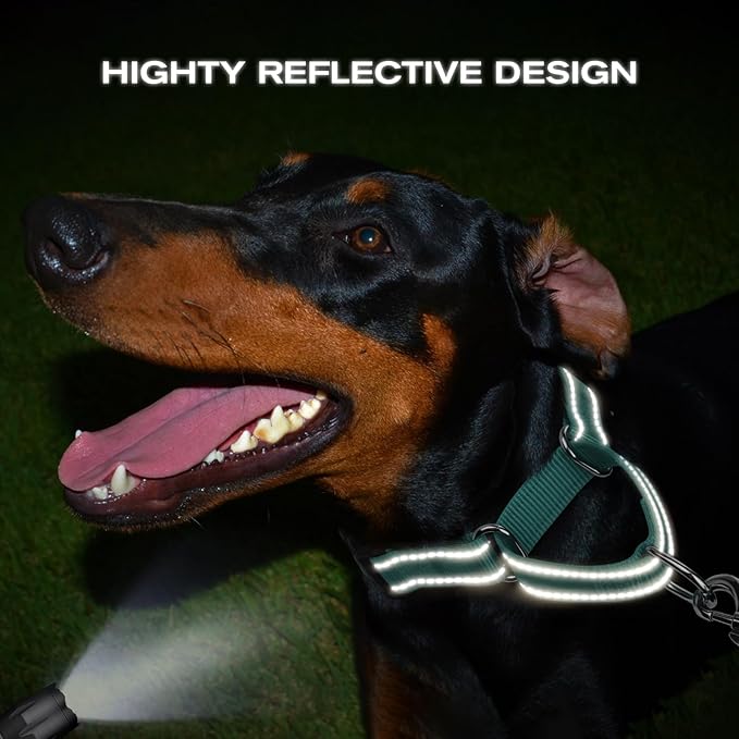 Joytale Martingale Collar for Dogs, Reflective Heavy Duty for Safety, Quick Release Buckle, Adjustable Nylon Collars for Medium Dogs Walking Training, Teal,M