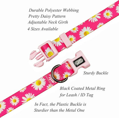 Dog Collar and Leash Set, Cute Pink Daisy Pattern, Polyester Material, 5ft Leash, for Puppy Dogs.(XS, Daisy Set)