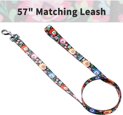 Ihoming Dog Collar and Leash Set for Daily Outdoor Walking Running Training, Black Colorful Flowers Design for Medium Boys Girls Dogs Cats Pets, M-Up to 45LBS