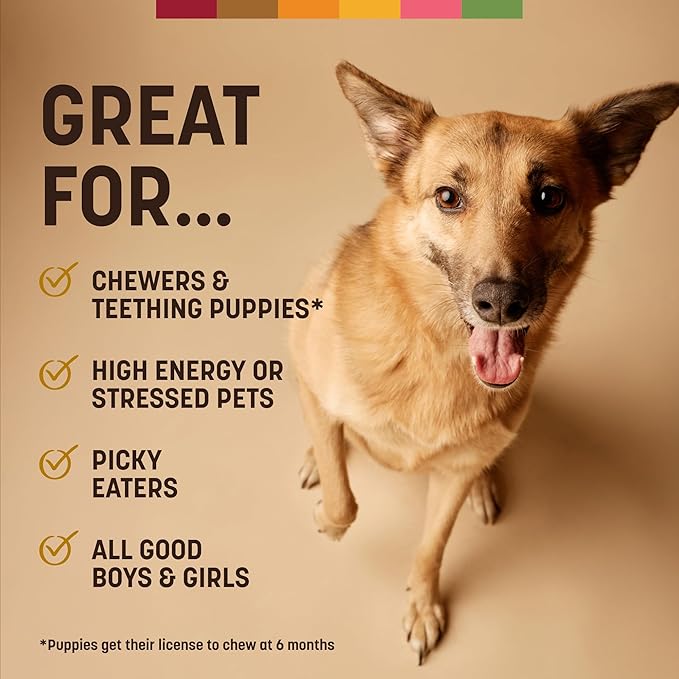 Earth Animal No Hide Strips - Natural Rawhide Free Dog Chew Strips, Peanut Butter - 16 Count