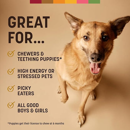 Earth Animal No Hide Strips - Natural Rawhide Free Dog Chew Strips, Peanut Butter - 4 Count
