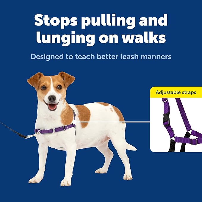 PetSafe Easy Walk Harness for Dogs - Pull-Free Walks - Patented Martingale Loop Design - Front Chest Leash Attachment - Comfort Straps - Breathable Harness Design - Small, Deep Purple/Black