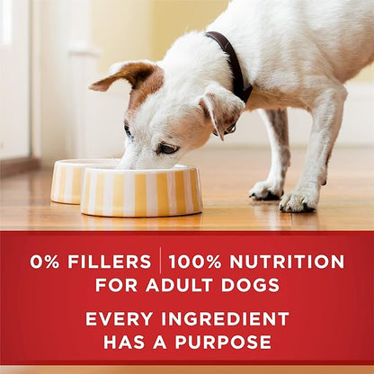 Purina ONE Tender Cuts in Gravy Chicken and Brown Rice,and Beef-and Barley Entrees Wet Dog Food Variety Pack - 13 oz. Cans,(Pack of 4)